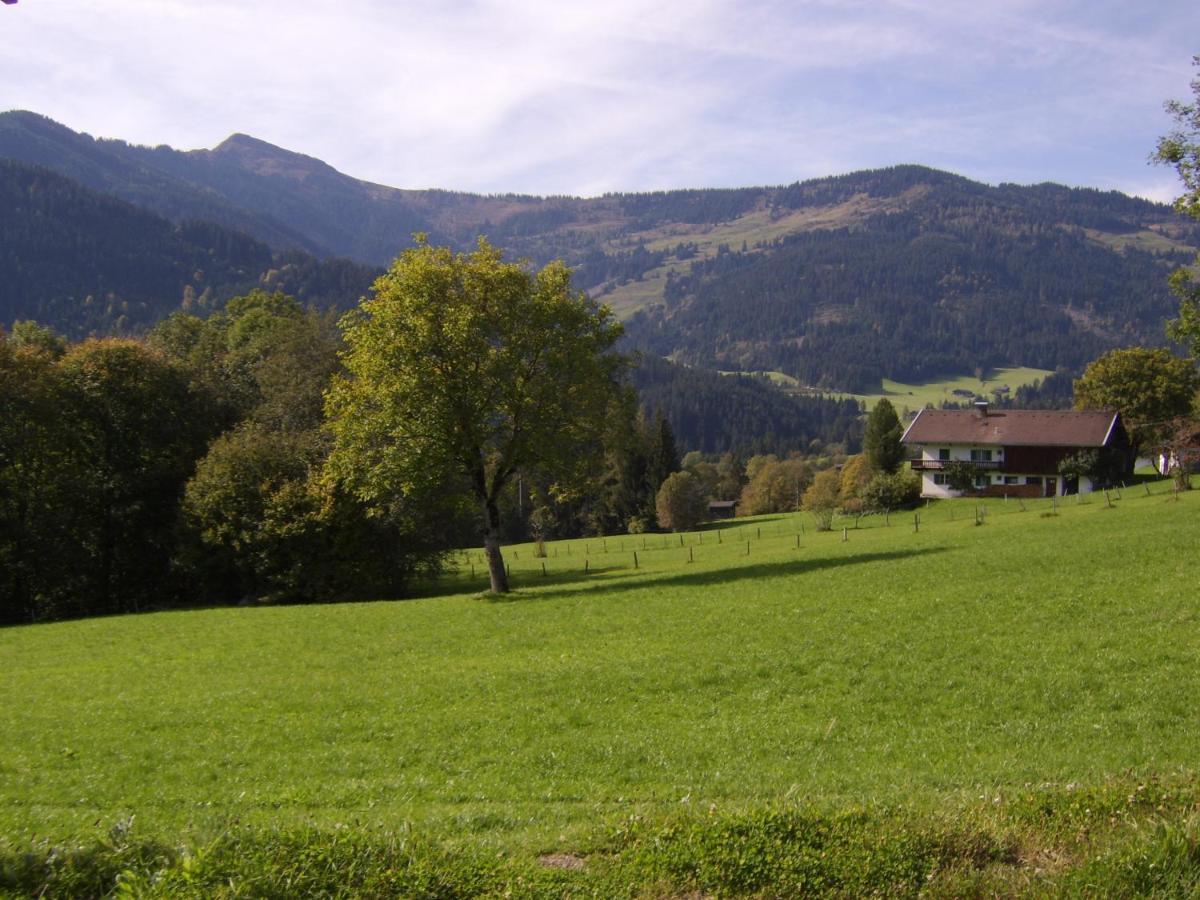 Schrandl Apartment Penningberg ฮอพฟ์การ์เทน อิม บริกเซนทัล ภายนอก รูปภาพ